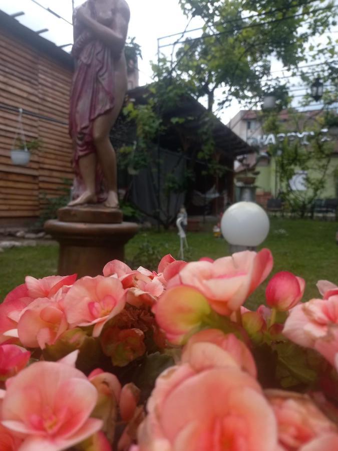 Appartamento Casa Elena Sighişoara Esterno foto