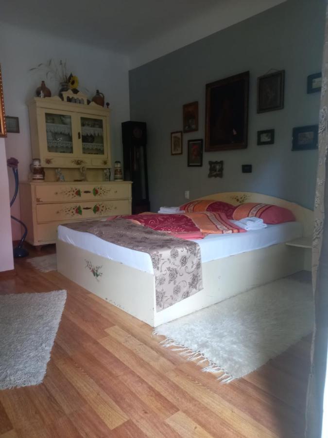 Appartamento Casa Elena Sighişoara Esterno foto
