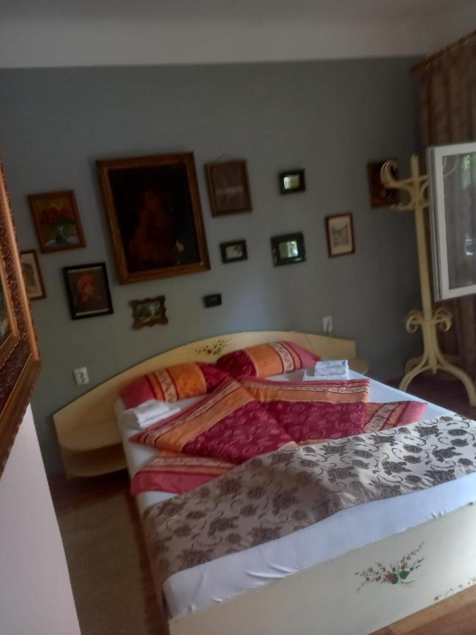 Appartamento Casa Elena Sighişoara Esterno foto