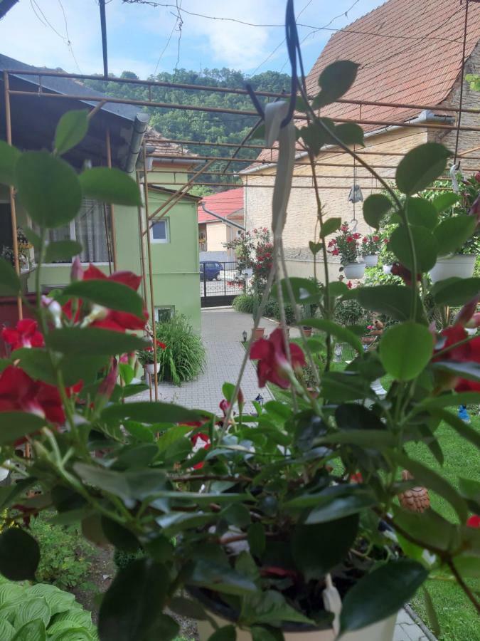 Appartamento Casa Elena Sighişoara Esterno foto